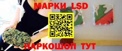 spice Новозыбков