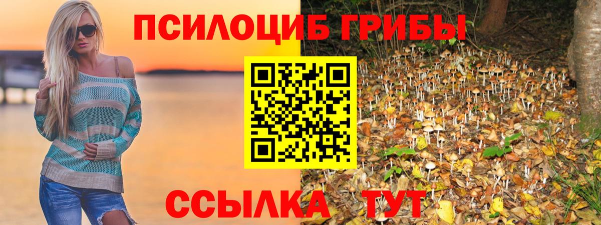 Волоколамск  Псилоцибиновые грибы Psilocybine cubensis  Псилоцибиновые грибы прущие грибы  Вход с VPN 