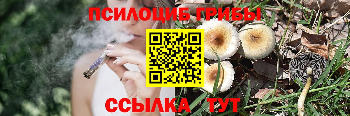 Галлюциногенные грибы мицелий Волоколамск
